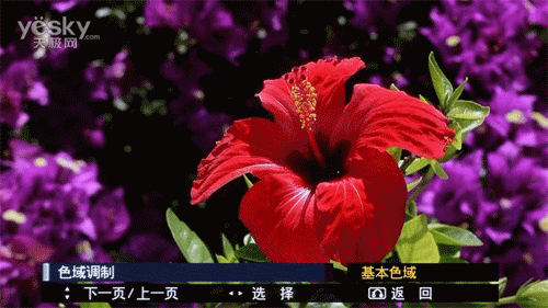 P60X101Cu(png)y(c)