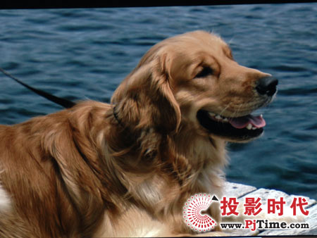 cŴ󣬺곞X1260 XGĀͶӰCXҕlЧ