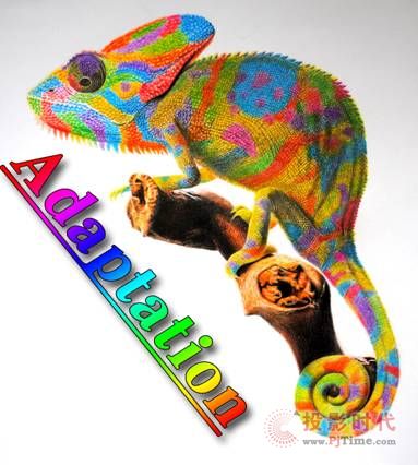 ֲʽD̎δlչڅ