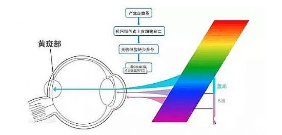 3Glasses{S1Ʒu Viveȸӑ۾