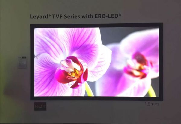 ISE 2020Micro LEDr(sh)(li)