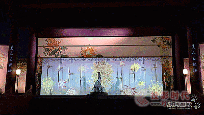 ʽش 뮋ϺӈD