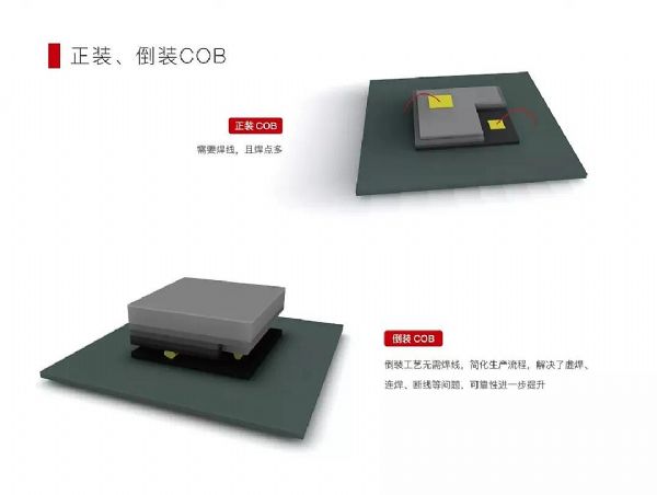 @ʾrLEDbgcrM