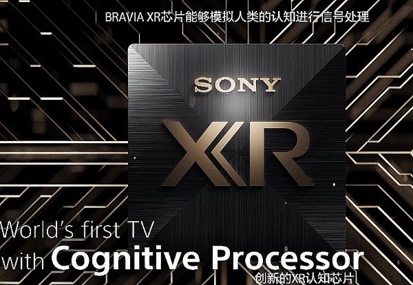 ᲻ߌ·:J֪оƬCognitive Processor XR