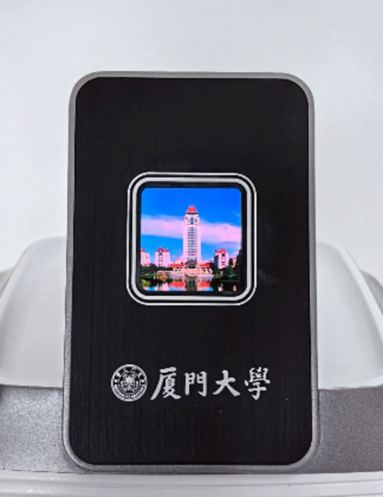 ИIӑBMini/Micro LEDИIR20241ܣ