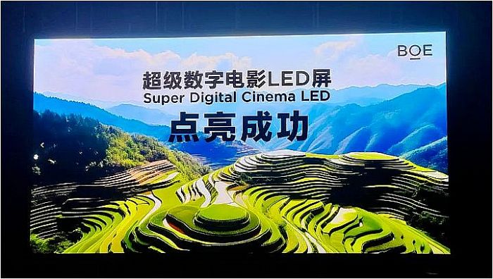 2024 LEDӰSΡ