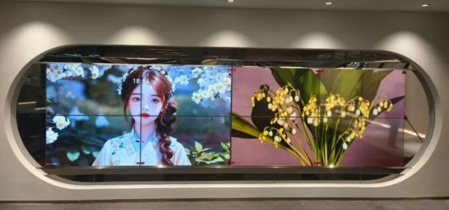 LEOXI@ˡ͸OLED@ʾİϼ