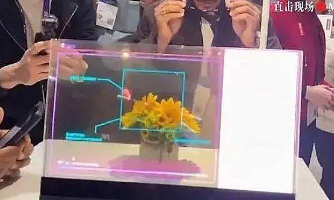2024Mini/Micro LED ügڅݿYڴc¹